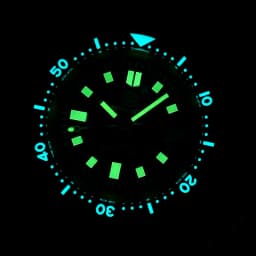 Steeldive Brand SD1970 Tuna Dive Watch 200m Waterproof Sapphire Crystal NH35 Automatic Mechanical Stainless Steel Men's Watch