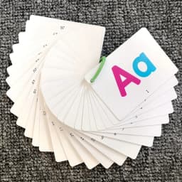 27 First Words Flashcards Alphabets ABC Animal Cards with 1 pen Scholastic Early Learners Educational Chidlren Kids Toys Gifts