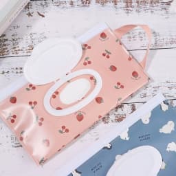 EVA Wet Wipes Bag Portable Baby Wipes Pouch Flip Cover Snap-Strap Holder Case Refillable Useful Tissue Box Stroller Accessories