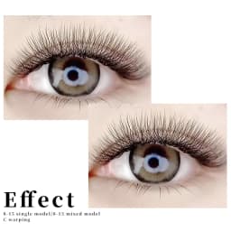 MENGLUKE 5D W Shaped Bloom Automatic Flowering Premade Fans Eyelashes Extensions Natural Soft Light High Idividual Lashes