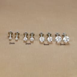 2PC Labret Tragus Stud Earrings 16G Surgical Stainless Steel CZ Crystal Monroe Helix Cartialge Conch Medusa Lip Body Piercing