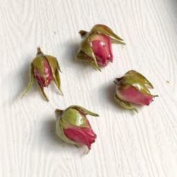 2 PCs Handmade Resin Jewelry Real Flower Charms Petaline Pendants Real Rose Petal Charm For DIY Earring Jewelry Finding Making