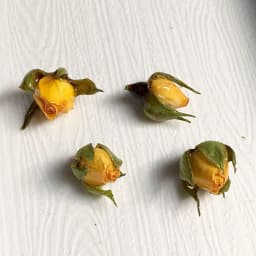 2 PCs Handmade Resin Jewelry Real Flower Charms Petaline Pendants Real Rose Petal Charm For DIY Earring Jewelry Finding Making