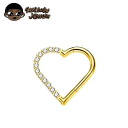 Heart Daith Pierced Nose Ring ASTM F136 Implantation Grade Diaphragm 16G Clicker Tragus Leather Earring Body Jewelry Wholesale