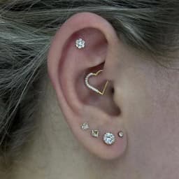 Heart Daith Pierced Nose Ring ASTM F136 Implantation Grade Diaphragm 16G Clicker Tragus Leather Earring Body Jewelry Wholesale