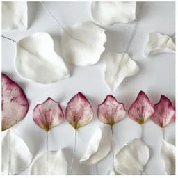 120pcs Fondant Paper Wrapped Iron Wire Handmade DIY Dough Plastic Doll Cake Plug-in Decoration Flower Pole Shelf