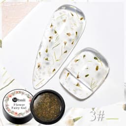 Mtssii Dried Flower Gel Nail Polish Natural Flower Fairy Series Semi Permanent Soak Off UV Nail Gel Painting Nail Art Varnishes