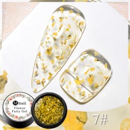 Mtssii Dried Flower Gel Nail Polish Natural Flower Fairy Series Semi Permanent Soak Off UV Nail Gel Painting Nail Art Varnishes