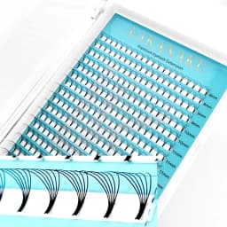 Lakanaku 320 Fans Premade Volume Fans 3D 4D 5D 6D Soft Cashmere Matte Eyelashes Large Capacity Cilios Individual Lash Extension