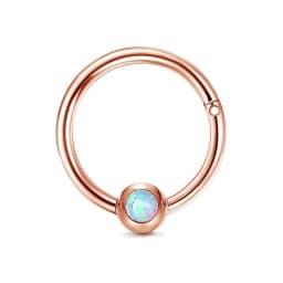 Drperfect 16G Septum Ring Jewelry Earrings Stainless Steel Hoop Nose Rings for Women Helix Tragus Lip Cartilage Septum Piercing