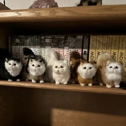 Simulation Cat Plush Toys Soft Stuffed Kitten Model Fake Cats Realist Animals for Kids Girls Birthday Valentine's Day Gift