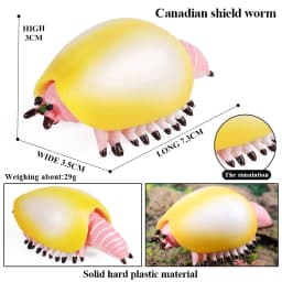 Oenux Ocean Animals Model Coral Jellyfish Ammonite Anemone Sea Scorpion Action Figures Mini Home Decoration Kids Education Toy