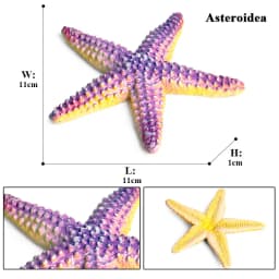 Oenux Ocean Animals Model Coral Jellyfish Ammonite Anemone Sea Scorpion Action Figures Mini Home Decoration Kids Education Toy