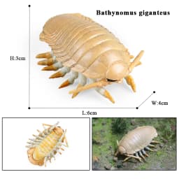 Oenux Ocean Animals Model Coral Jellyfish Ammonite Anemone Sea Scorpion Action Figures Mini Home Decoration Kids Education Toy