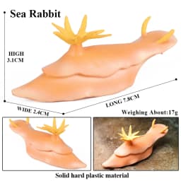 Oenux Ocean Animals Model Coral Jellyfish Ammonite Anemone Sea Scorpion Action Figures Mini Home Decoration Kids Education Toy