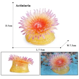 Oenux Ocean Animals Model Coral Jellyfish Ammonite Anemone Sea Scorpion Action Figures Mini Home Decoration Kids Education Toy