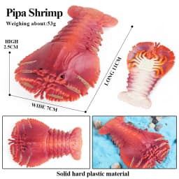Oenux Ocean Animals Model Coral Jellyfish Ammonite Anemone Sea Scorpion Action Figures Mini Home Decoration Kids Education Toy