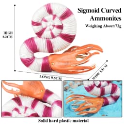 Oenux Ocean Animals Model Coral Jellyfish Ammonite Anemone Sea Scorpion Action Figures Mini Home Decoration Kids Education Toy