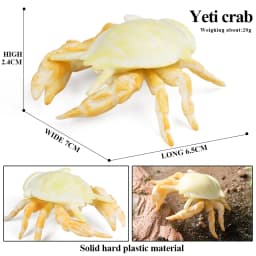 Oenux Ocean Animals Model Coral Jellyfish Ammonite Anemone Sea Scorpion Action Figures Mini Home Decoration Kids Education Toy