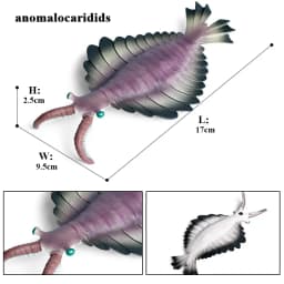 Oenux Ocean Animals Model Coral Jellyfish Ammonite Anemone Sea Scorpion Action Figures Mini Home Decoration Kids Education Toy