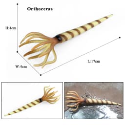 Oenux Ocean Animals Model Coral Jellyfish Ammonite Anemone Sea Scorpion Action Figures Mini Home Decoration Kids Education Toy