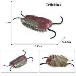 Oenux Ocean Animals Model Coral Jellyfish Ammonite Anemone Sea Scorpion Action Figures Mini Home Decoration Kids Education Toy