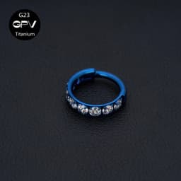 Luxury Square Zircon G23 Titanium Nose Ring Vacuum Gold-Plated Punk Piercing Jewelry Septum Ring Earrings For Men And Women