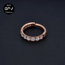 Luxury Square Zircon G23 Titanium Nose Ring Vacuum Gold-Plated Punk Piercing Jewelry Septum Ring Earrings For Men And Women