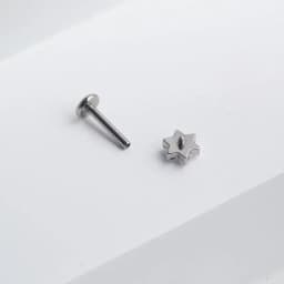 ASTM F136 Titanium Flower Piercing 16G 18G Internal Thread Labret Tragus Helix Conch Piercing Lip Nose Body Piercing Jewelry