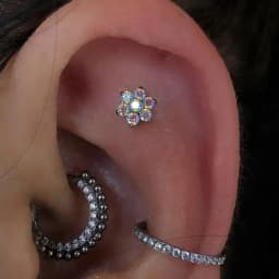 ASTM F136 Titanium Flower Piercing 16G 18G Internal Thread Labret Tragus Helix Conch Piercing Lip Nose Body Piercing Jewelry
