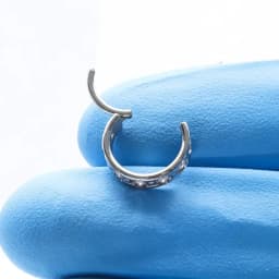 F136 Titanium Piercing Nose Ring Tragus Conch Cartilage Piercing Plum Blossom 16G Shape 5A Zircon Clicker Ring Body Jewelry