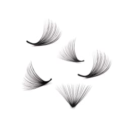 AGUUD 3D-20D Loose Fans Lash Mixed Length Sharp Pointy Stem Promade Volume Fans Eyelash Extension Thin Base Russian Volume Cilio