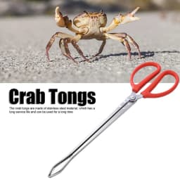 Durable Seafood Hand Tool Stable Multifunction Stainless Steel Crab Tongs Eels Clip Long Handle Kitchen Anti Slip
