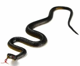 Fake Rubber Snake Toy, 45cm Realistic Prank Trick Toy With Tongue Stick Out, Perfect For Garden Decor, Birds Deterrent