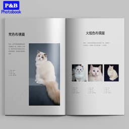 12inch DIY Vertical Custom-Made Photo Album, Baby Grow-Up Design, Wedding Anniversary, Family Vacation, Ceremony Gifts Photobook