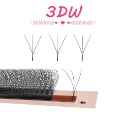 Goddess W Shaped Bloom 3D 4D 5D 6D 7D 8D Automatic Flowering Premade Fans Eyelashes Extensions Natural Soft YY Individual Lashes