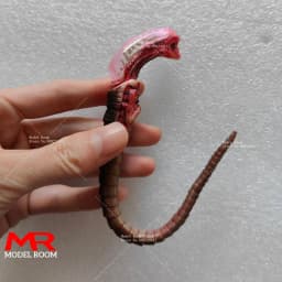 Fire Girl FG027 FG028 1/6 Alien Chestburster Facehugger Figure Model Scene Accessories Props Fit 12'' Soldier Action Figure Body