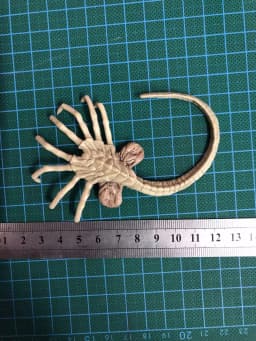 Fire Girl FG027 FG028 1/6 Alien Chestburster Facehugger Figure Model Scene Accessories Props Fit 12'' Soldier Action Figure Body