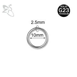 ZS 1PC G23 Titanium Hoop Earring for Women Silver Plated Circle Earring Large Gauge Seputm Nose Ring 2/4/6/8/10/12G Punk Earring