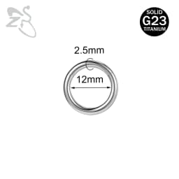 ZS 1PC G23 Titanium Hoop Earring for Women Silver Plated Circle Earring Large Gauge Seputm Nose Ring 2/4/6/8/10/12G Punk Earring