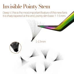 NEW Song Lashes Promade Fans Pointy Base Loose Fans Sharp Thin Root Korea PBT Material 500 Fans