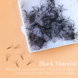 NEW Song Lashes Promade Fans Pointy Base Loose Fans Sharp Thin Root Korea PBT Material 500 Fans