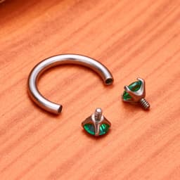 1/10 PCS G23 Titanium ASTM-F136 Piercings Nose Ring C Rod Body Jewelry Internal Thread Cartilage Helix Earrings Wholesale