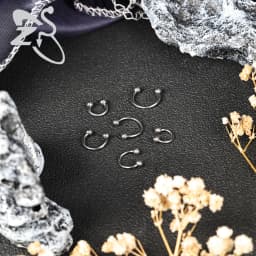 ZS 1PC 16G/18G Spike Nose Rings Stainless Steel Septum Clicker Silver Color Ear Helix Diath Internal Thread Tragus Piercing
