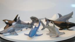 Simulation Marine Sea Life Whale Figurines Shark Cachalot Action Figures Ocean Animal Model Dolphin Hammerhead Educational Toys