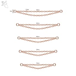 ZS 1 PC Gold Color Stainless Steel Nose Chain 17/24/32/35/40/45/50MM Tassel Ear Helix Bridge Piercing Chains Accessories Jewelry