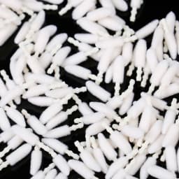 1000pcs Disposable Lip Brush Cotton Head Replacement Head for Lipstick Applicator Makeup Tool For Eyelashes Extension