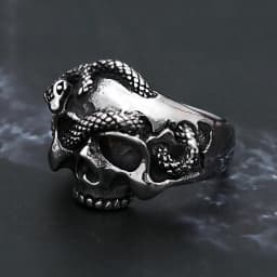 Vintage Punk Hip Hop Snake Skull Ring Stainless Steel Snake Rings For Men Biker Unique Animal Amulet Jewelry Gift Dropshipping