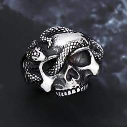 Vintage Punk Hip Hop Snake Skull Ring Stainless Steel Snake Rings For Men Biker Unique Animal Amulet Jewelry Gift Dropshipping