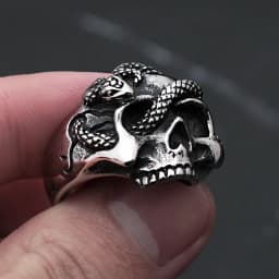 Vintage Punk Hip Hop Snake Skull Ring Stainless Steel Snake Rings For Men Biker Unique Animal Amulet Jewelry Gift Dropshipping
